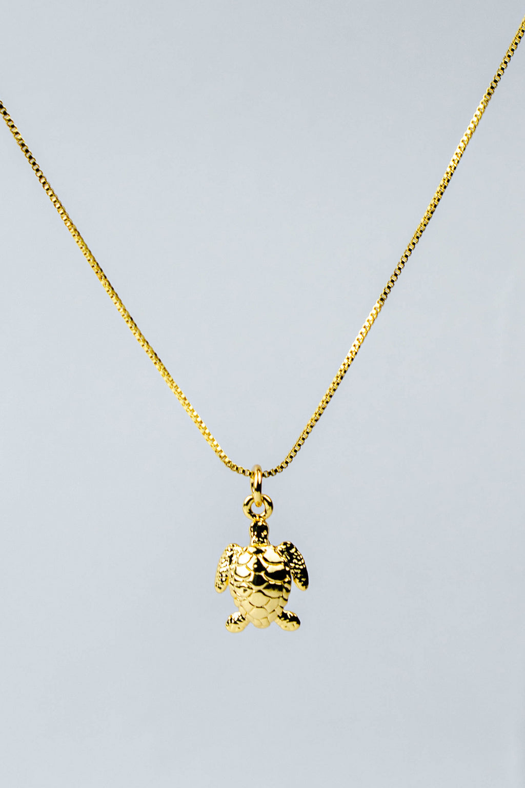 CADENA GUARDIANA