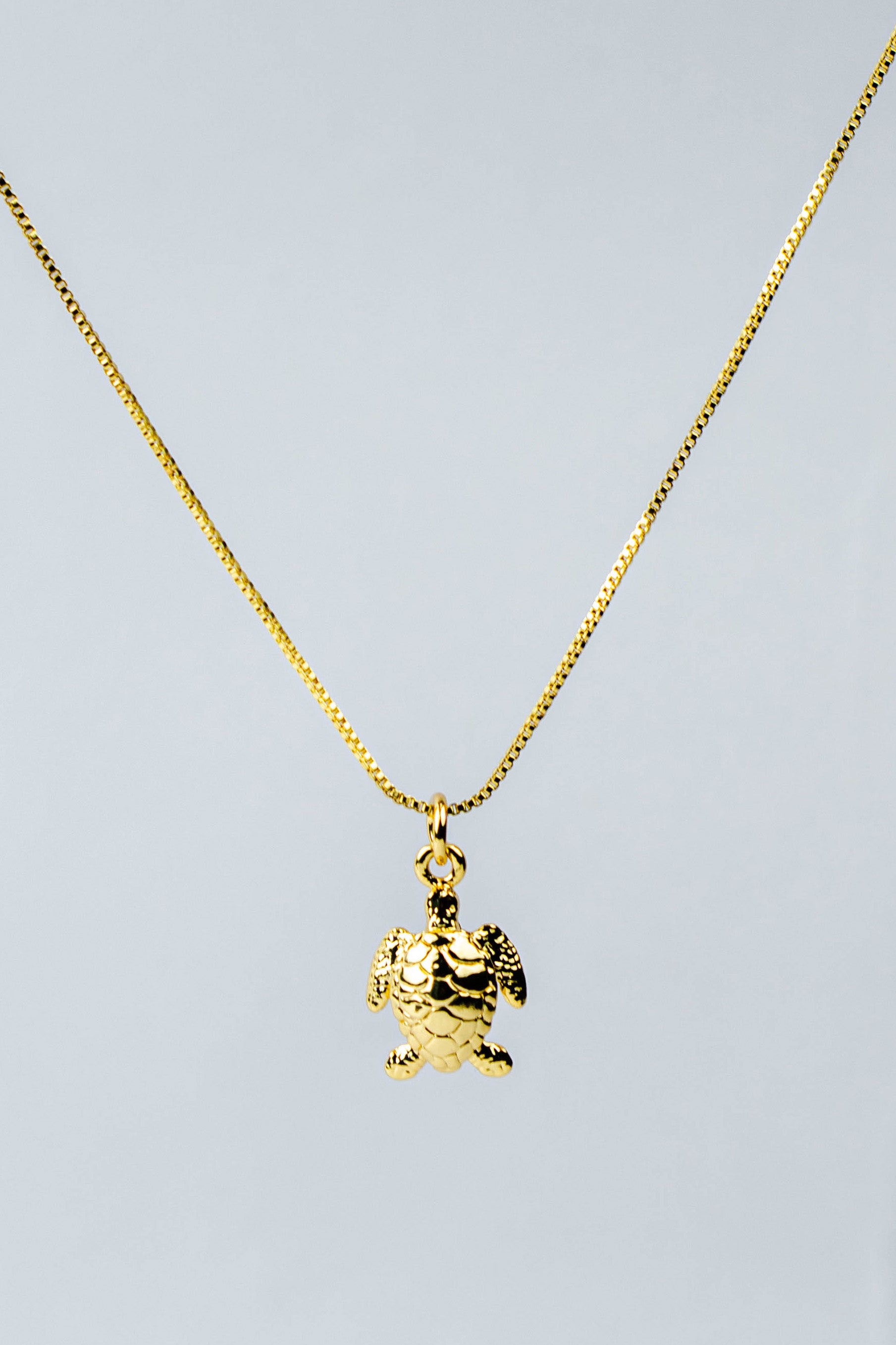 CADENA GUARDIANA