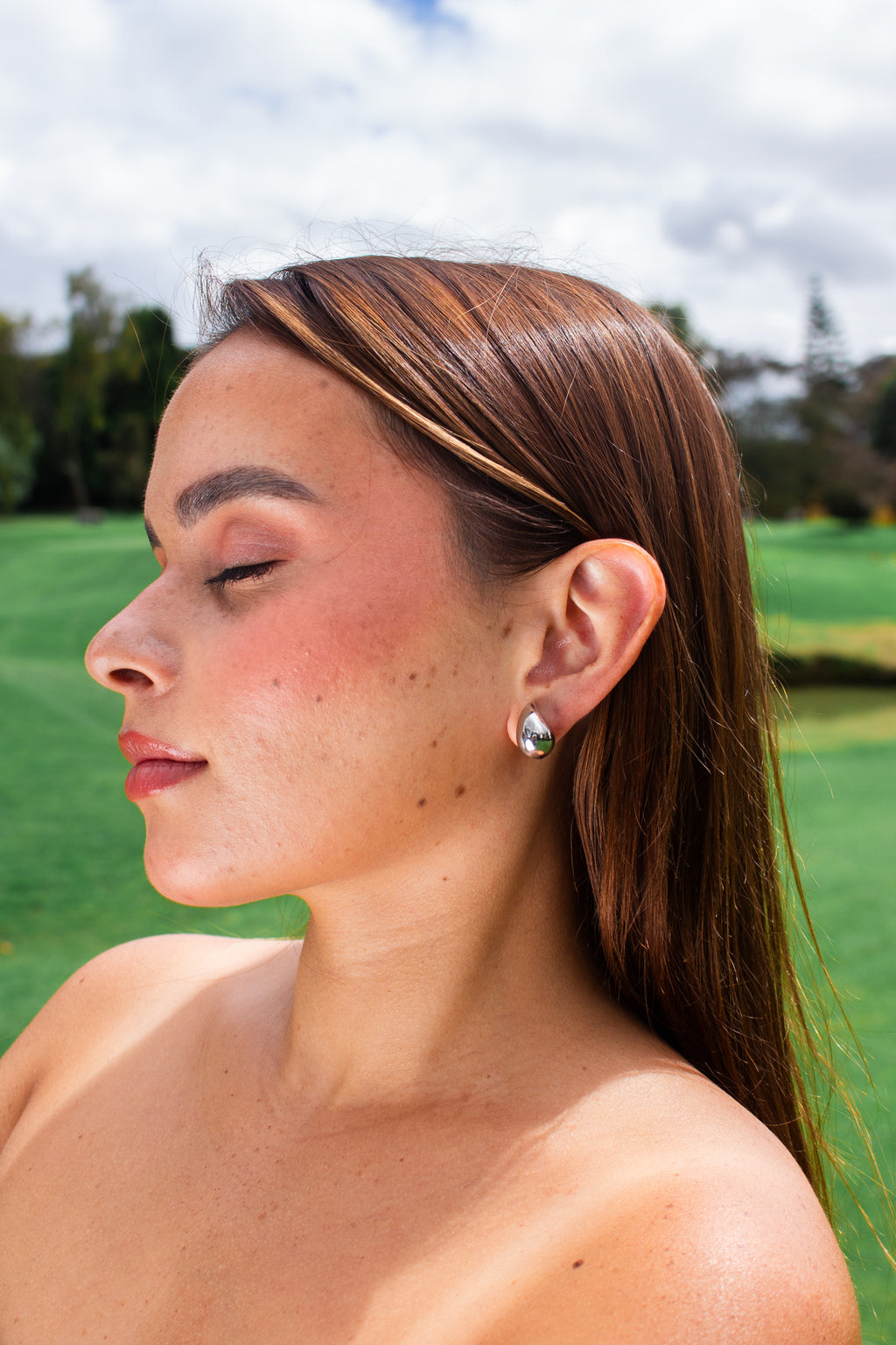 ARETES ALBA PLATEADOS