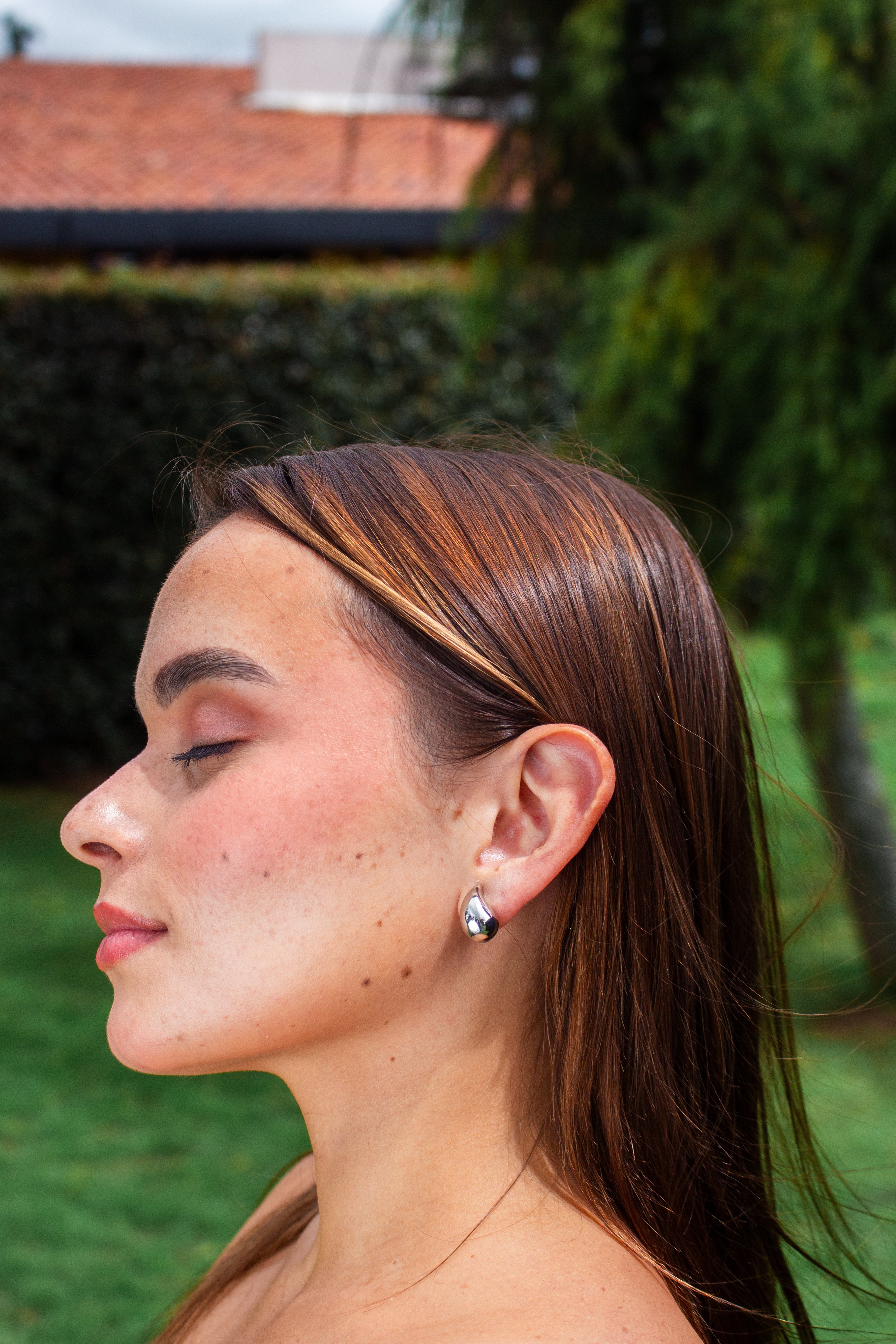 ARETES ALBA PLATEADOS