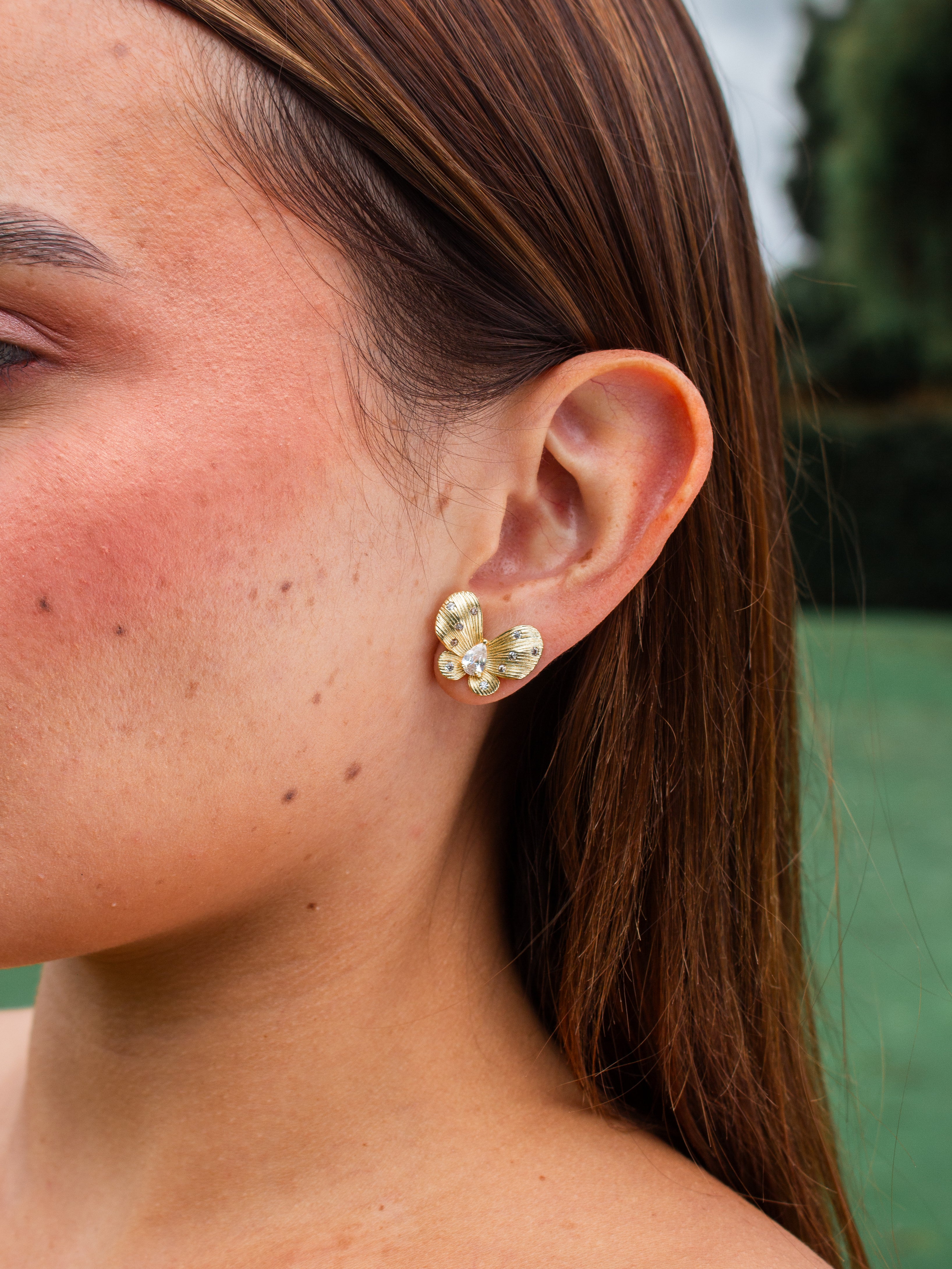 ARETES LIRIO