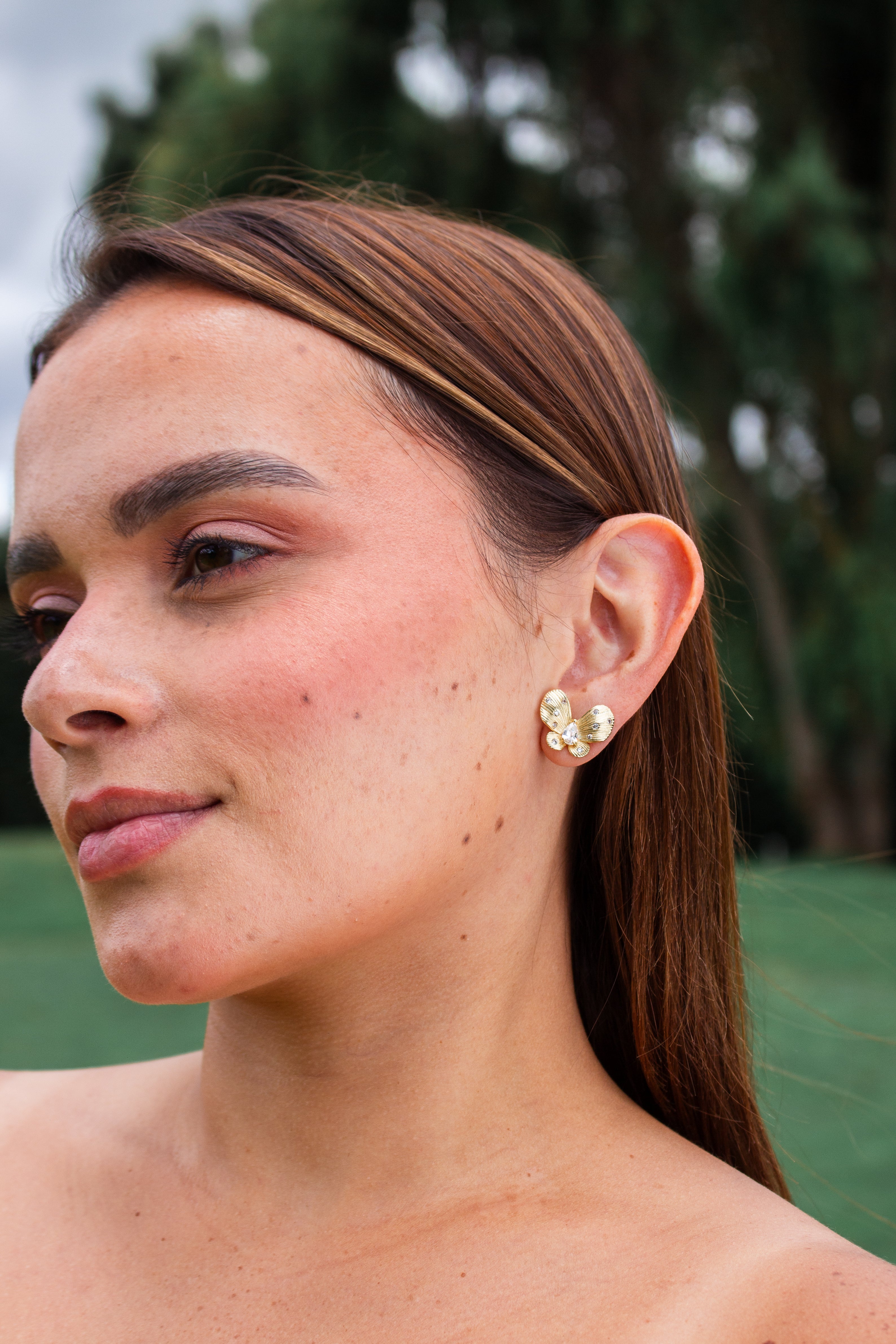 ARETES LIRIO