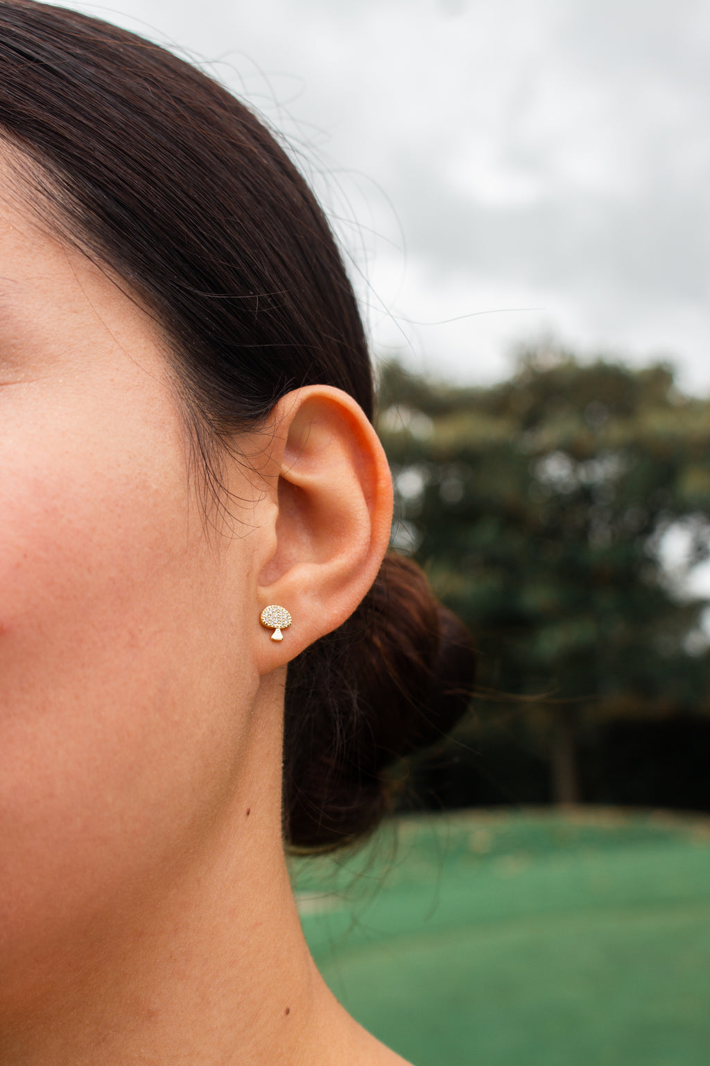 SET ARETES POMA X3