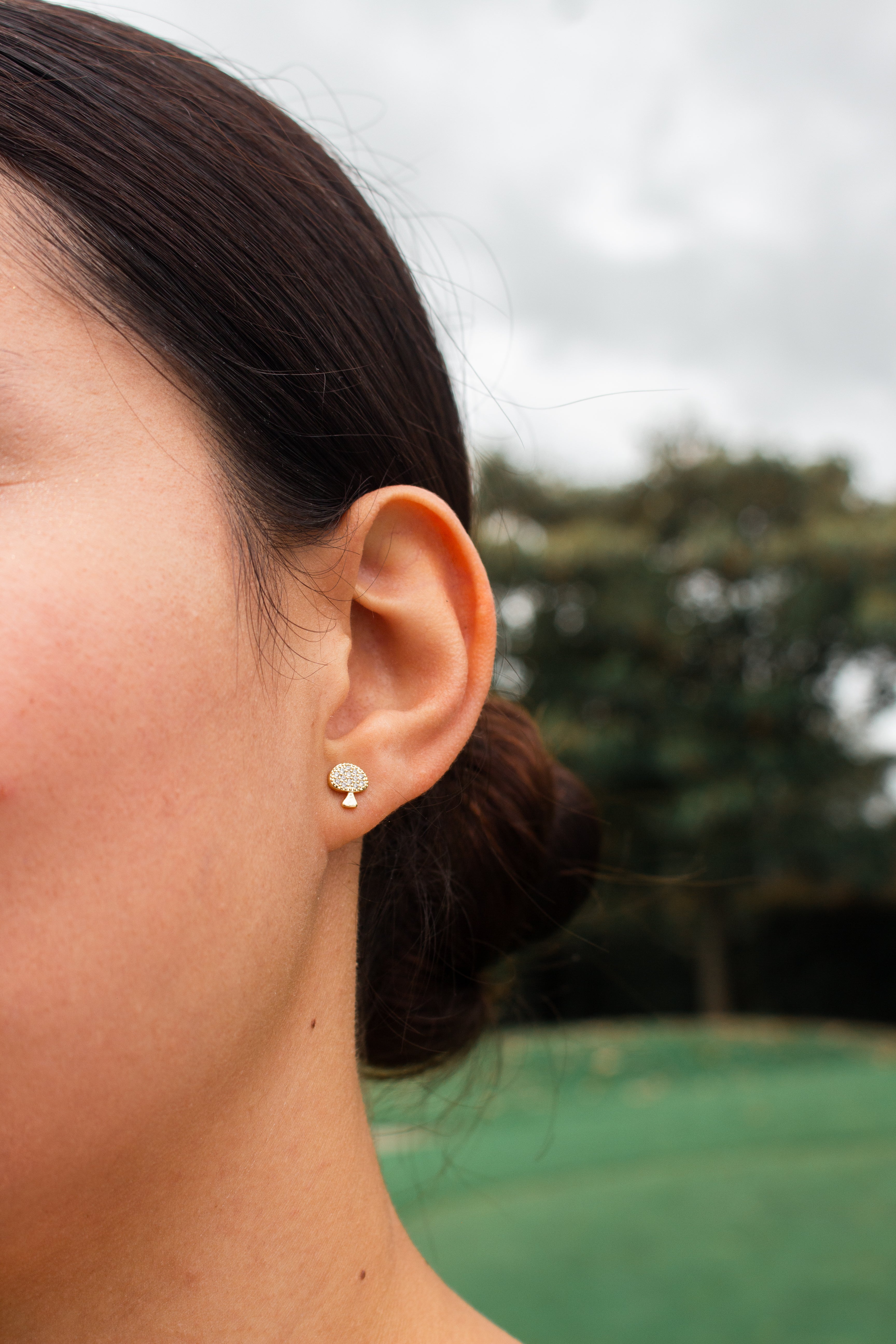 SET ARETES POMA X3