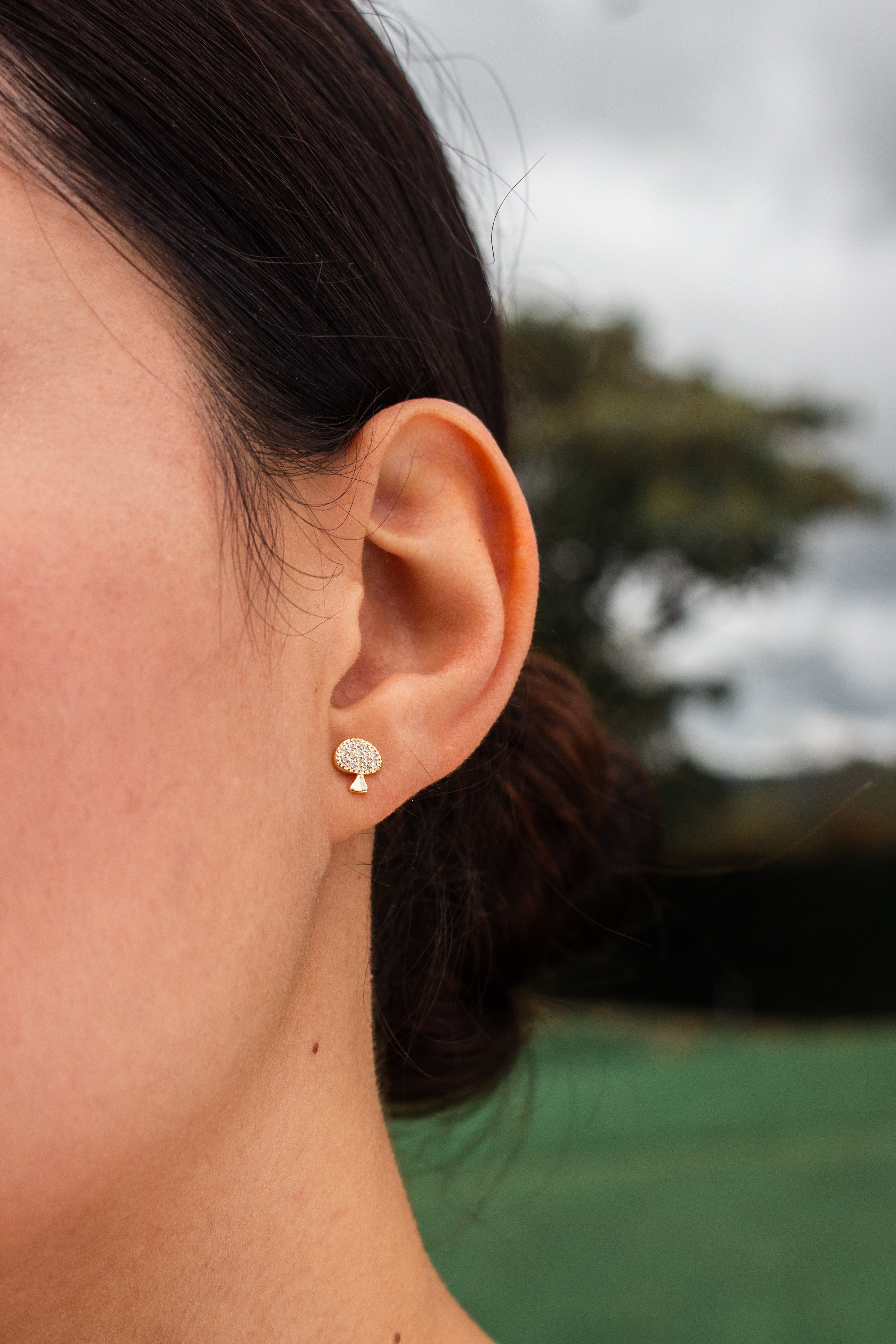SET ARETES POMA X3