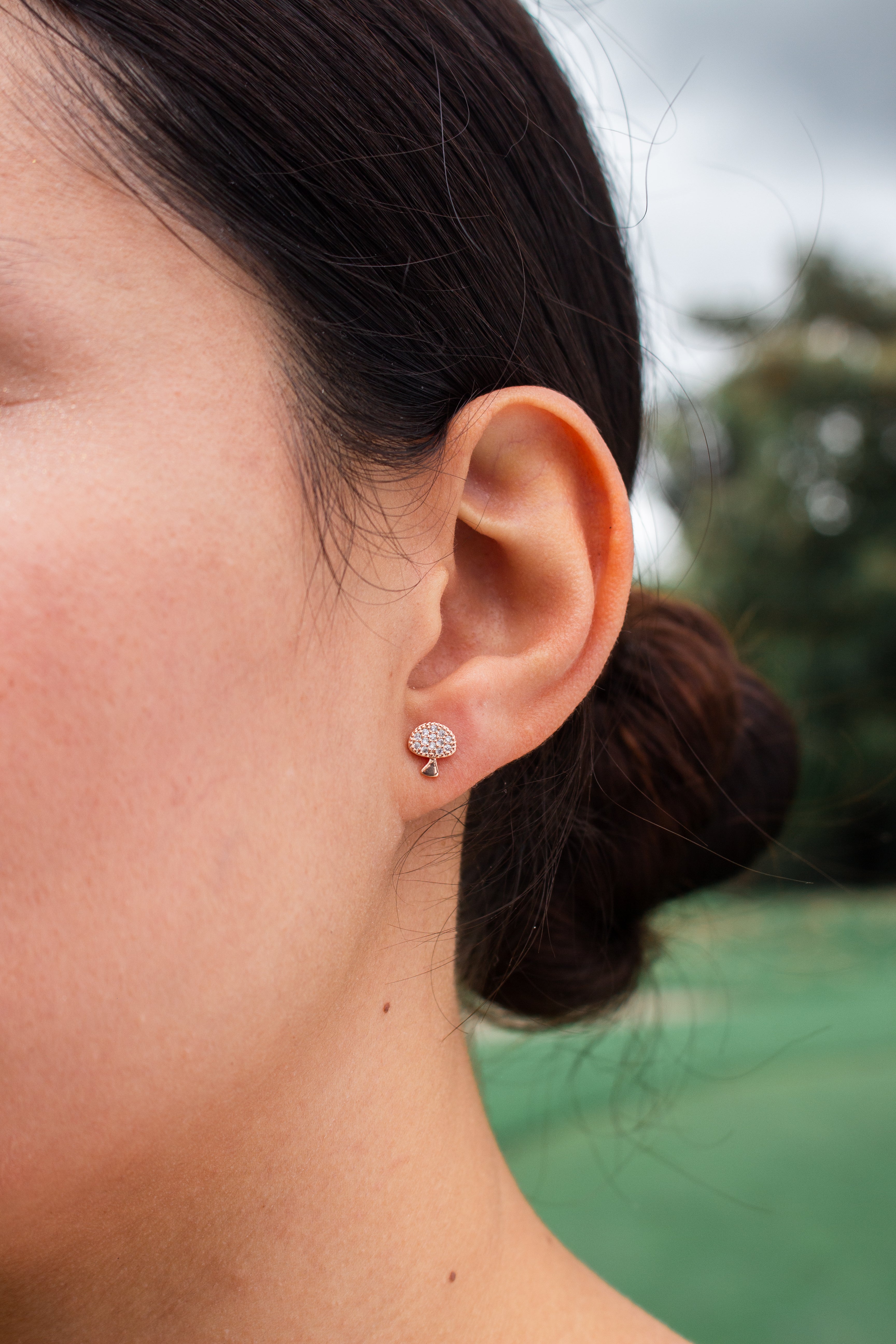 SET ARETES POMA X3