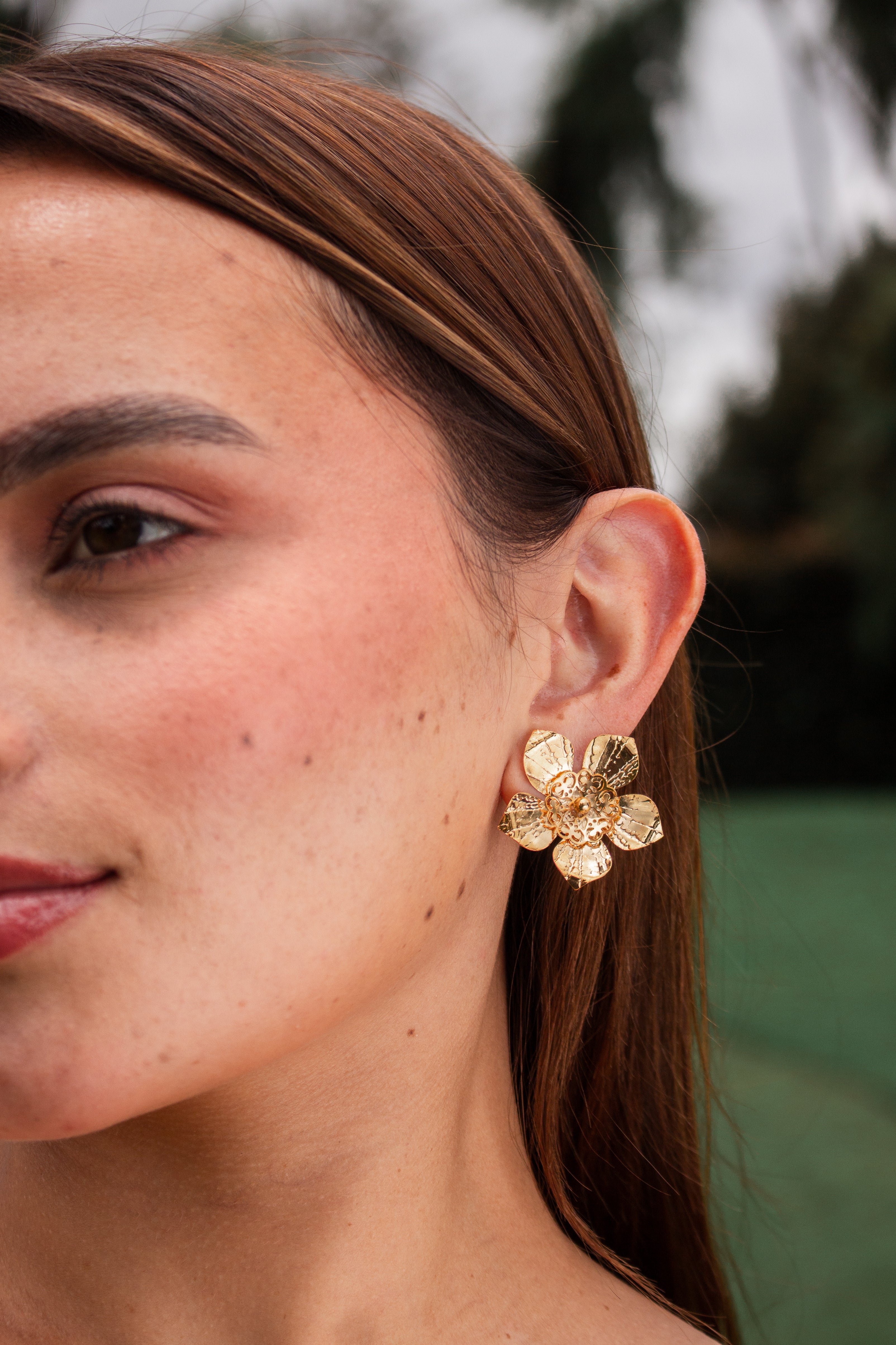 ARETES FLORVIA